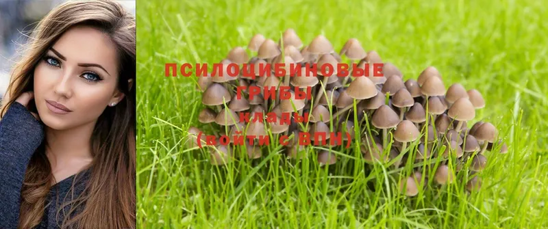 Псилоцибиновые грибы Magic Shrooms  купить наркотики сайты  Сорск 